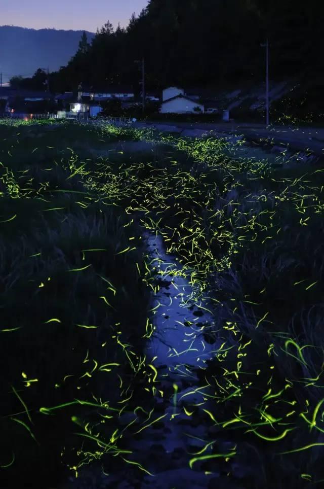 电脑的用途有哪些？游戏画面