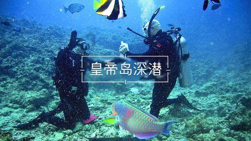幻想三国志5