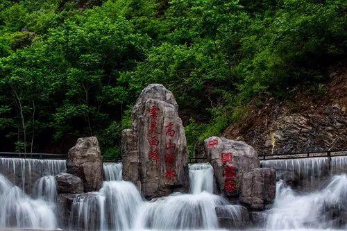 贵州医药卫生领域代表委员话心声(六)